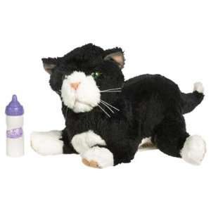  Furreal Friends Newborn Kitten (Black and White): Toys 
