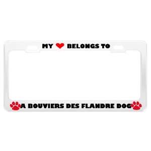  A Bouviers Des Flandre Dog Pet White Metal License Plate 