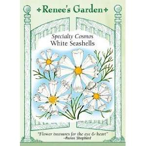  Cosmos   White Seashells Seeds Patio, Lawn & Garden