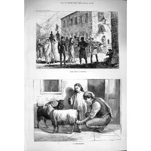  1876 Street Scene Gibraltar Maltese Milkman Goats: Home 