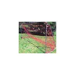  6 ft x 12 ft Small Sided Soccer Net: Sports & Outdoors