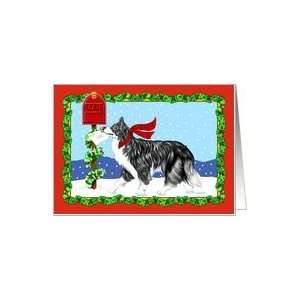  Border Collie BW Dog Christmas Holiday Mail Card Health 