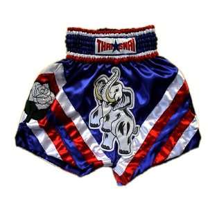   Shorts Muay Thai Mma K1 Ufc Kick Boxing Training Satin Shorts All Slze