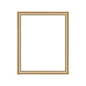    Gold Sectional Frame, 11 x 15 (28 x 38cm) 