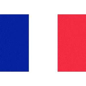  France Flag 6 inch x 4 inch Window Cling: Home & Kitchen