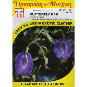  Thompson & Morgan 4663 Butterfly Pea Vine (Blue) Clitoria 