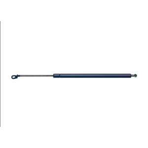  Strong Arm 4736 Hatch Lift Support: Automotive