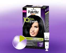 Schwarzkopf Palette HAIR COLOR IN 10 MINUTES NEW  