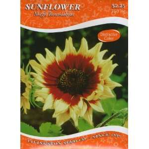  Sunflower   Magic Roundabout Patio, Lawn & Garden