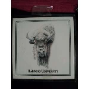  Harding University Bisons Full Color Trivet Kitchen 