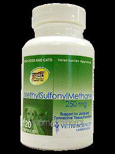 MethylSulfonylMethane 250 mg 120 caps by Vetri Science  