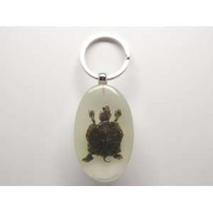  Glowing Red Earred Slider Turtle Keychain: Everything Else