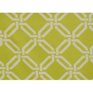  P0026 Bellwood in Lime by Pindler Fabric: Home & Kitchen