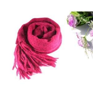    NEW Silk Pashmina Shawl Scarf Wrap(Great gift idea) Beauty