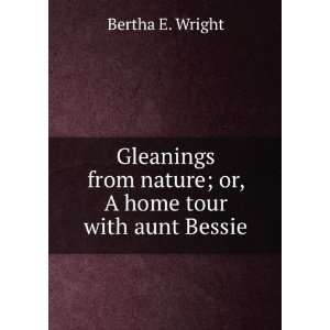   from nature; or, A home tour with aunt Bessie Bertha E. Wright Books