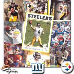 Pittsburgh Steelers Tommy Maddox 20 Card Set  Sports 