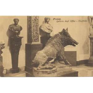 1920s Vintage Postcard Wild Boer Sculpture   Uffizi Gallery   Florence 