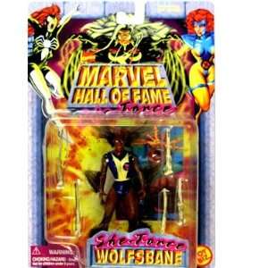   Marvel Hall of Fame She Force: Wolfsbane Action Figure: Toys & Games