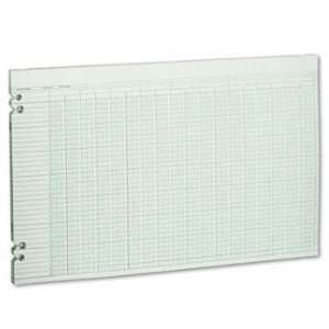 Wilson Jones G5030   Accounting Sheets, 30 Columns, 11 x 17, 100 Loose 