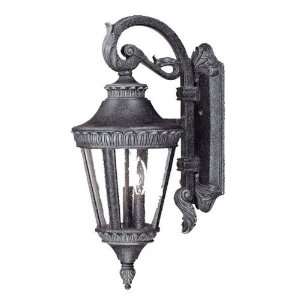  Acclaim Lighting Seville Outdoor Sconce: Home Improvement