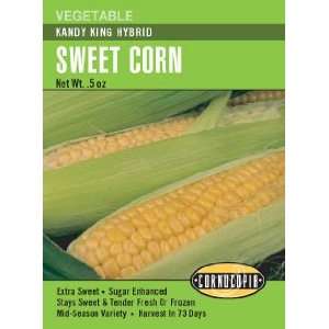  Sweet Corn Kandy King Hybrid Seeds Patio, Lawn & Garden
