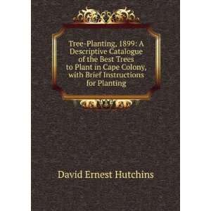  Tree Planting, 1899 A Descriptive Catalogue of the Best 