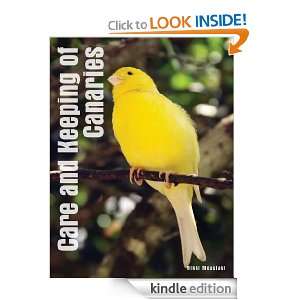  Care and Keeping of Canaries eBook Nikki Moustaki Kindle 