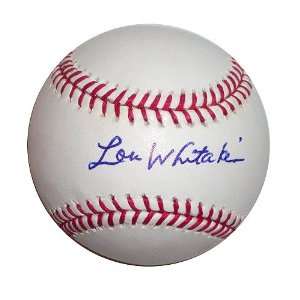  Detroit Tigers Lou Whitaker Autographed Baseball Sports 