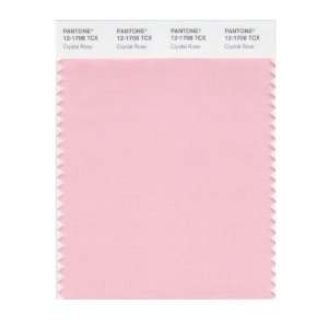   SMART 12 1708X Color Swatch Card, Crystal Rose: Home Improvement