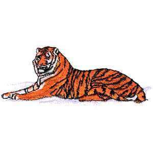 Epic Siberian Tiger orange Big Wild Cat Iron on Patch  