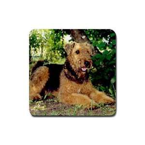  Airedale Terrier Rubber Square Coaster (4 pack) Kitchen 