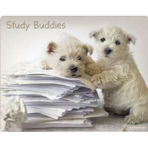  Study Buddies Westie Puppies skin for Kinect for Xbox360 