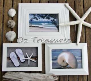 BEACH SEA OCEAN SHELL SHABBY 4x6 COLLAGE PICTURES SET  