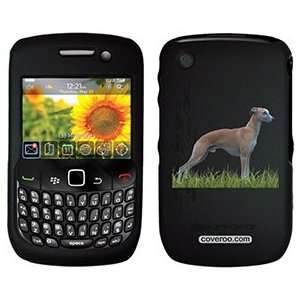  Whippet on PureGear Case for BlackBerry Curve: MP3 Players 
