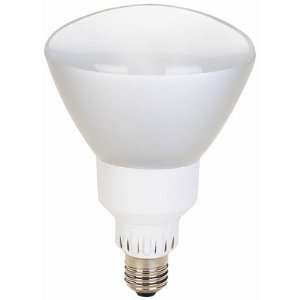  MorrisProducts 79164 13W R25 Reflector Compact Fluorescent 