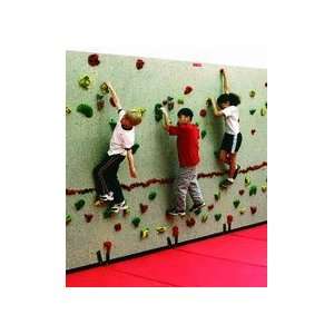   Holds for Climbing Wall   Set of 11 Red by Everlast