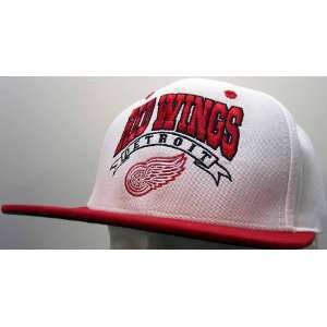 Detroit Red Wings Vintage Retro Snapback Cap  Sports 
