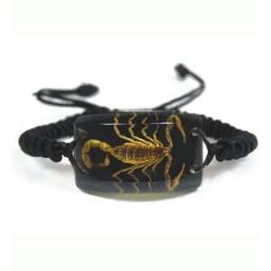 Real Insect Bracelet Golden Scorpion black Colored (Big & Square)
