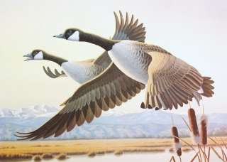 Geese Goose Lithograph print Ducks Unlimited bird SN P7  