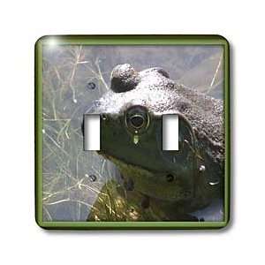  Beverly Turner Photography   Crying Frog   Light Switch 
