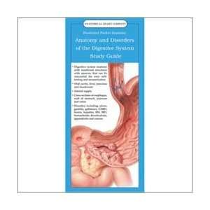  Illustrated Pocket Anatomy   Anatomy and Disorders of the 