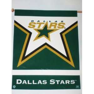 DALLAS STARS Team Logo Weather Resistant 27 by 37 VERTICAL FLAG 