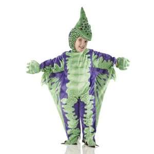 Toddler Pterodactyl Dinosaur Costume Size 2 4T: Everything 