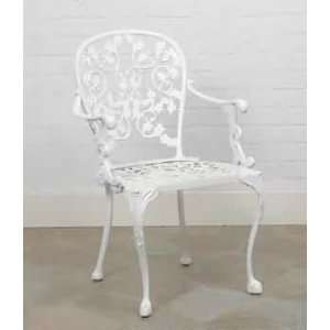  Armchairs White Aluminum, Outdoor Chair: Home & Kitchen