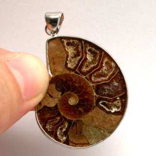 Natural Ammonite Fossil Shell Silver Pendant  