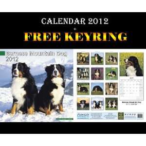  Bernese Mountain Dog Dogs Calendar 2012 + Free Keyring 