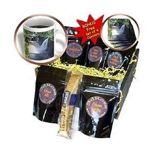 Florene Water Landscape   Ausable Chasms   Coffee Gift Baskets 
