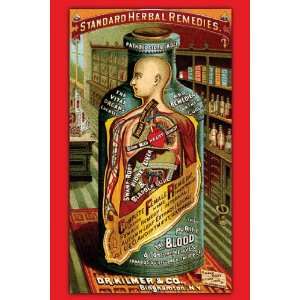  Dr. Kilmers Standard Herbal Remedies 20X30 Canvas Giclee 