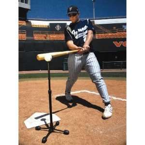   Batting Tee   Equipment   Baseball   Training   Batting Tees: Sports