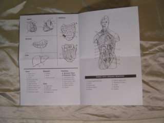 Great for educational/instructional study of human anatomy and most 